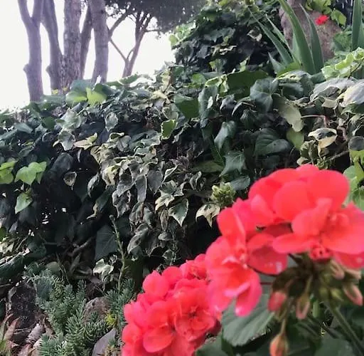 Barabarca Prázdninový dům Capoliveri (Isola d'Elba)